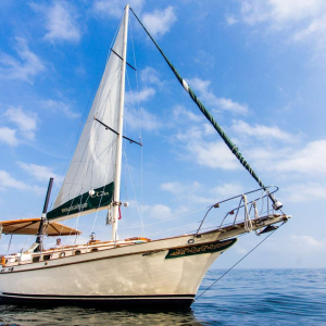 01-adasailing-private-tours