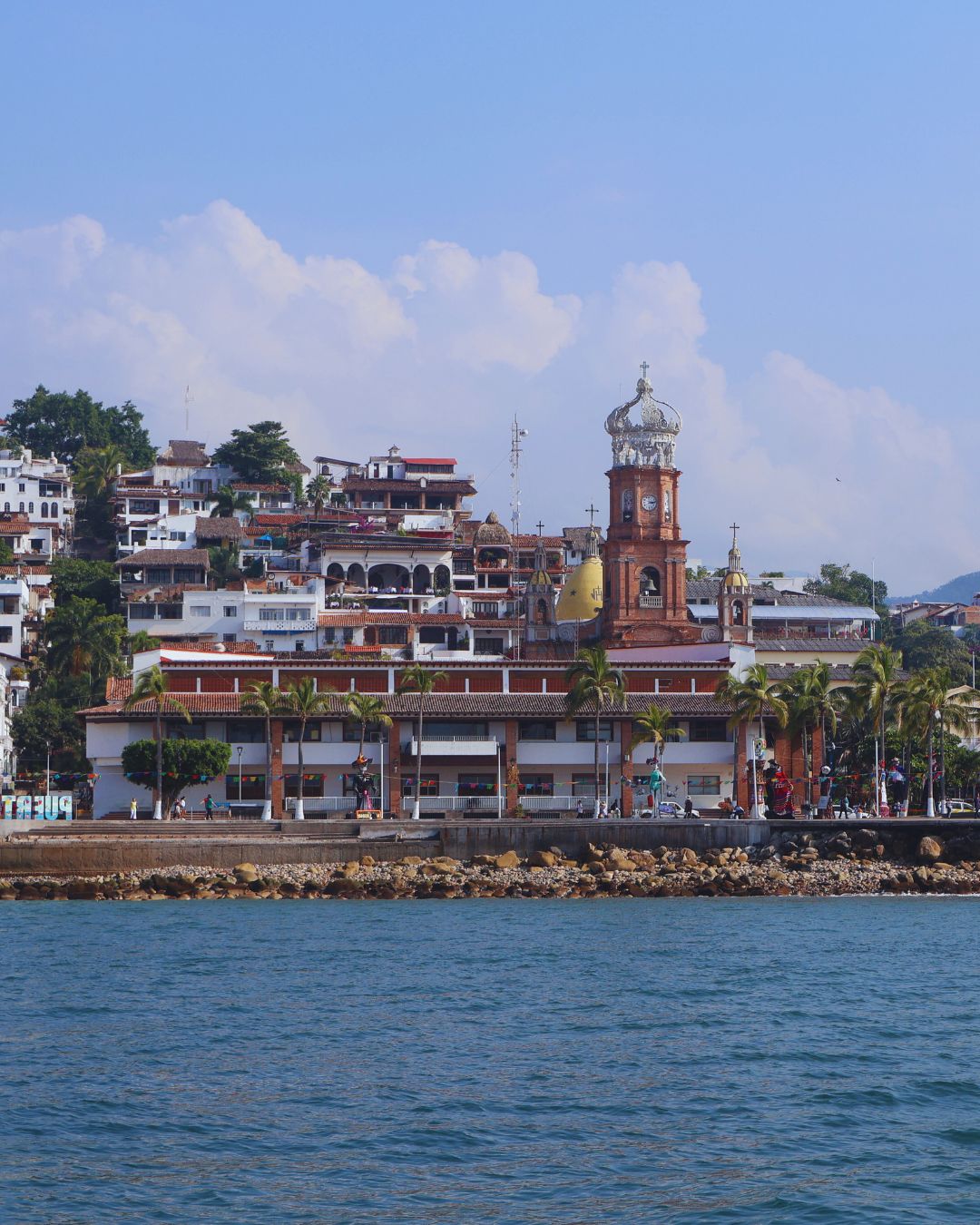 Vallarta Express Tour