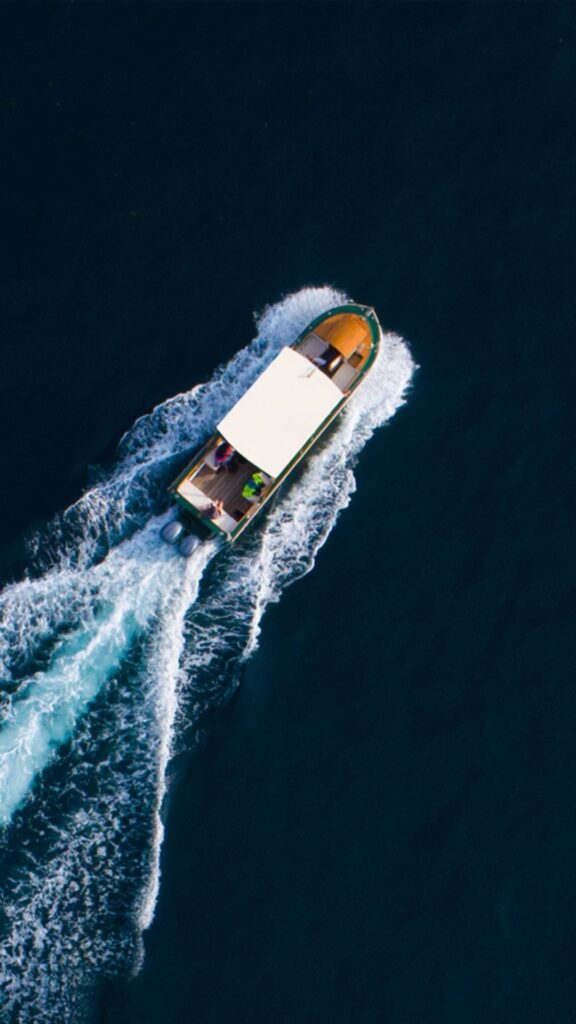 Banderas Bay Whale Migration